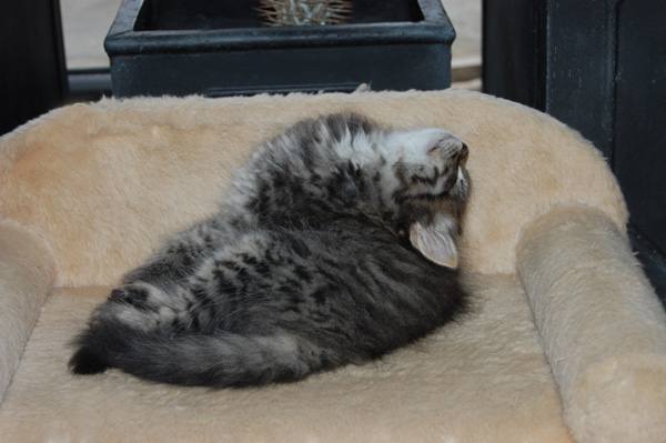 so schläft es sich am besten.jpg